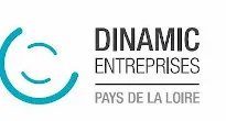 Dinamic
