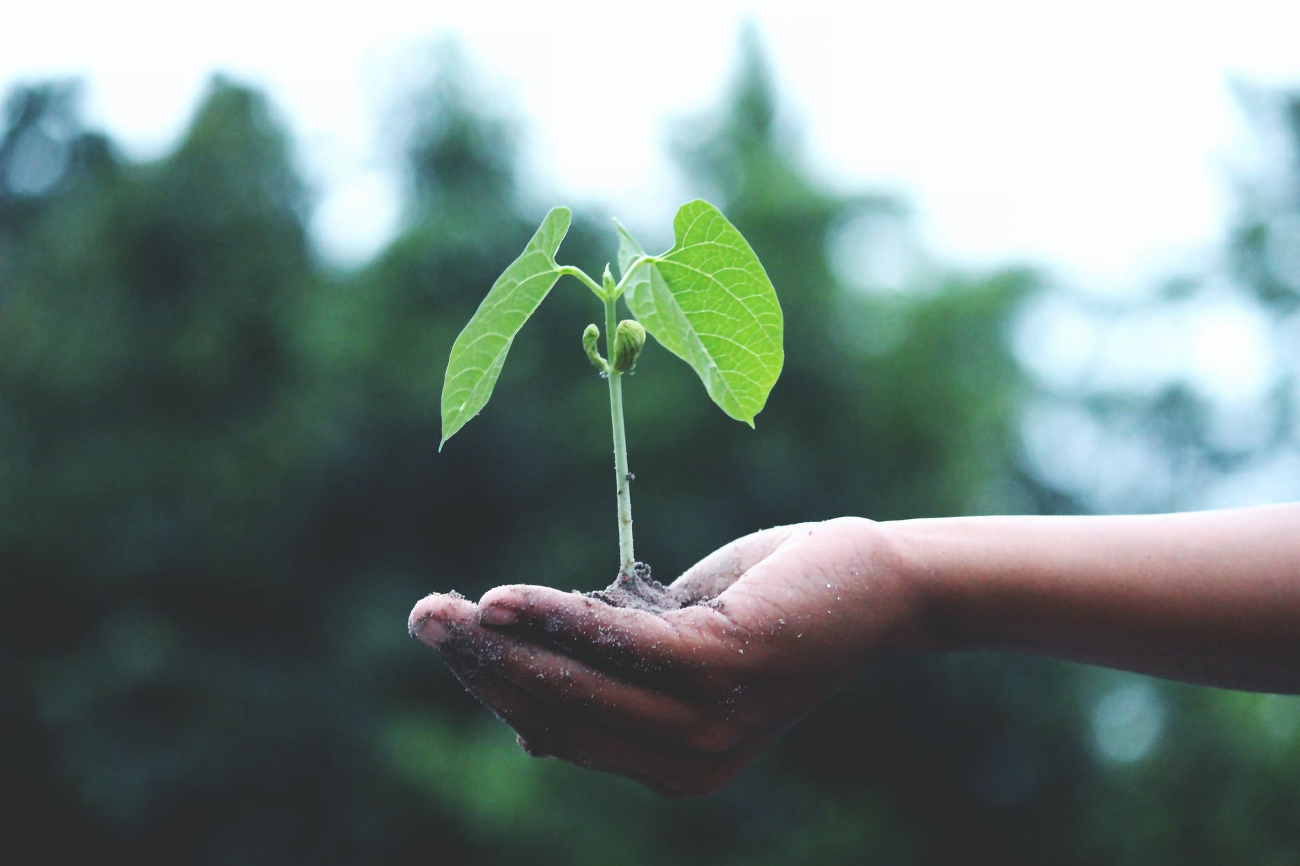 Accompagnement et formation de dirigeant à Vitré